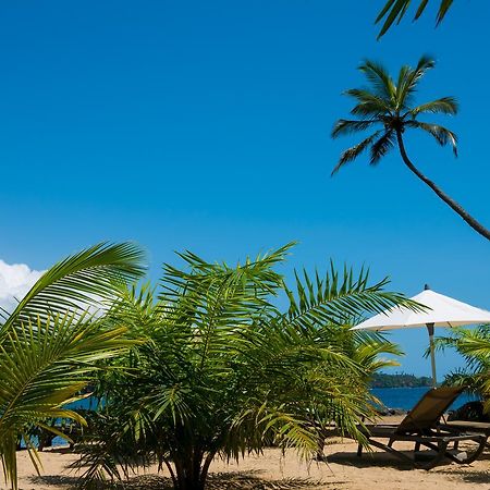 Club Santana Beach&Resort Zewnętrze zdjęcie